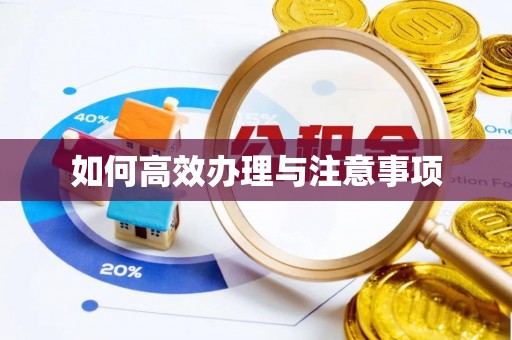 青神如何高效办理与注意事项